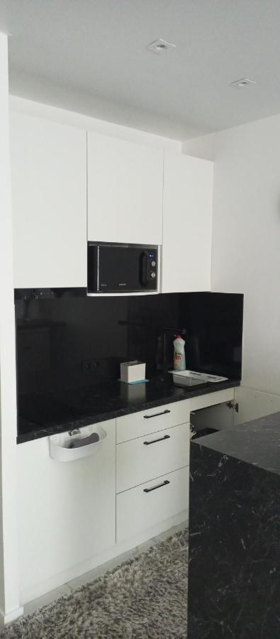 New Modern Apartment Ужгород Екстериор снимка