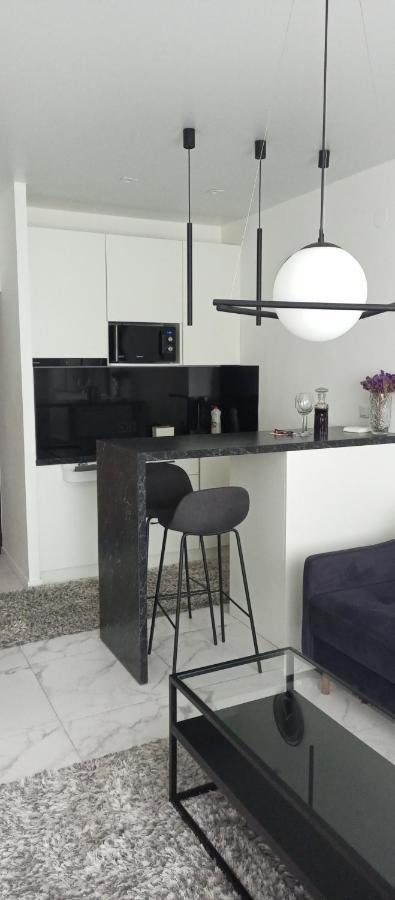 New Modern Apartment Ужгород Екстериор снимка