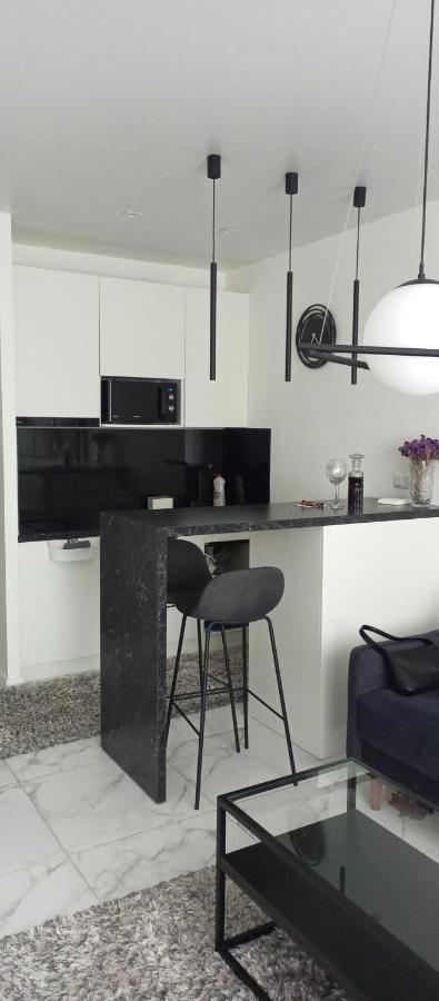 New Modern Apartment Ужгород Екстериор снимка